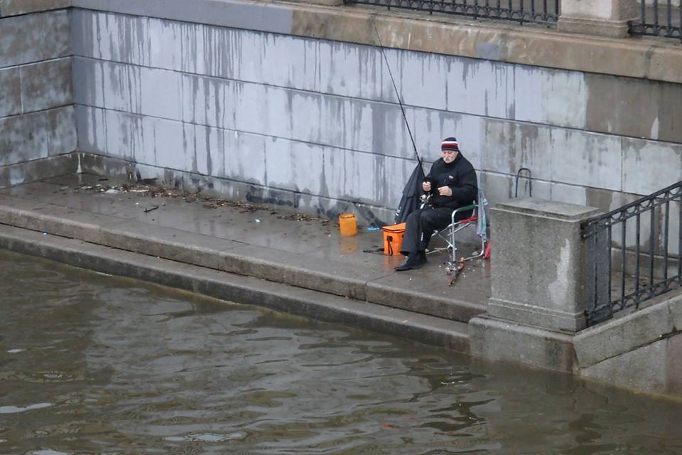 12376608_10153444501588402_3462601484760266782_n