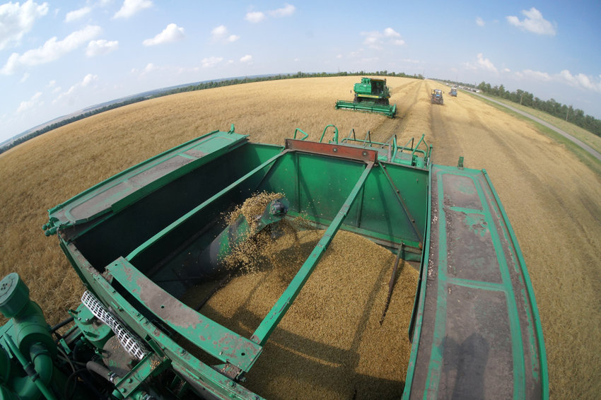 uborka-1-pogoncev-viktor_d_850