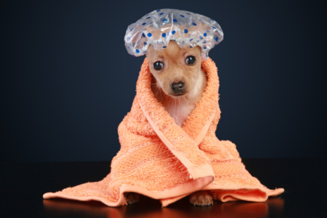 someone taking a shower